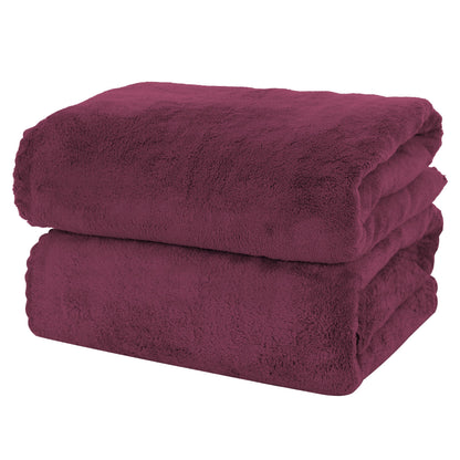 MOONQUEEN 2 Pack Premium Bath Towel Set - Quick Drying - Microfiber Coral Velvet Highly Absorbent Towels - Multipurpose Use as Bath Fitness, Bathroom, Shower, Sports, Yoga Towel (Grey)